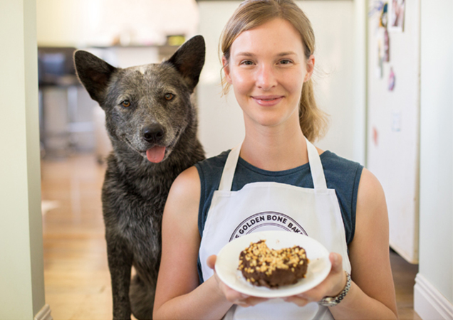 Carob salmon cheesecake for dogs.